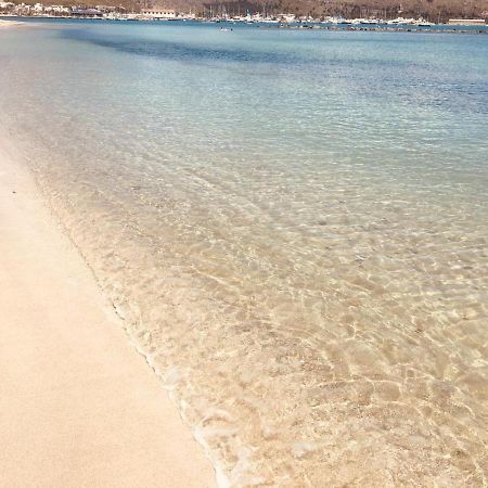 Tramuntana&Beach Pollenca Bagian luar foto